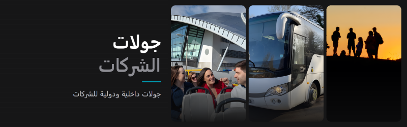 جولات الشركات